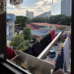 Blk 509 Bedok North Street 3 (Bedok), HDB 3 Rooms #572083591